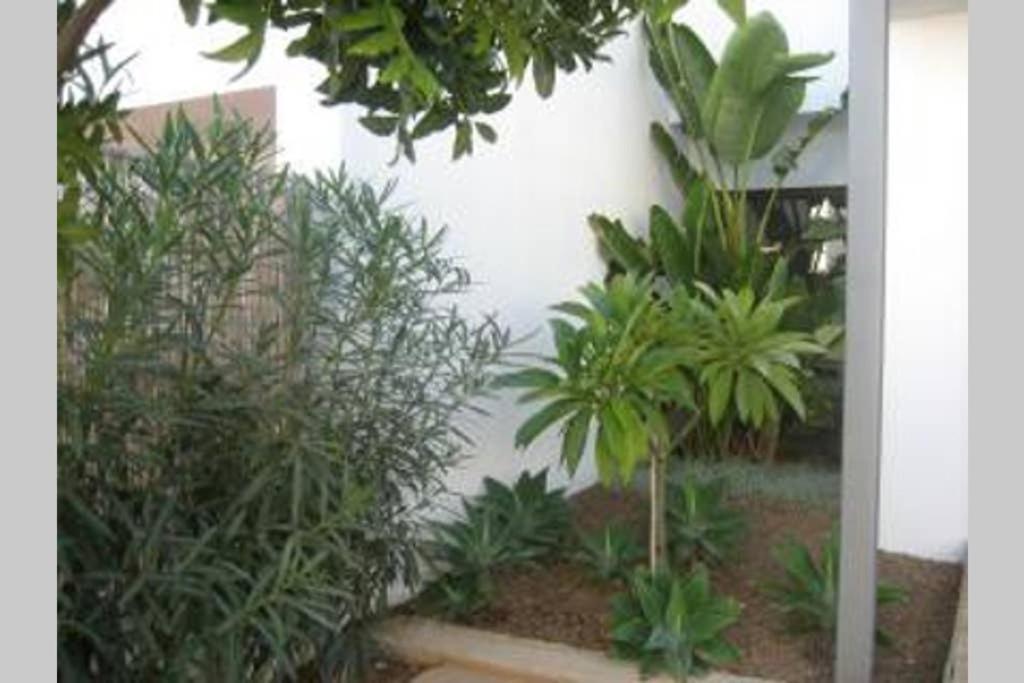 Casa Esparto 厄尔·坎皮洛·德·罗达尔 外观 照片